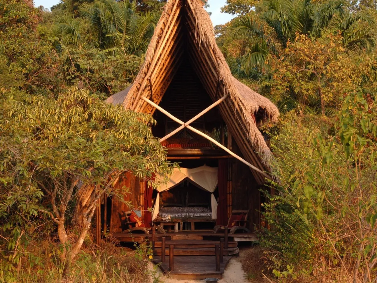 Nomad Greystoke Mahale