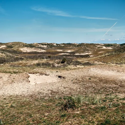 Zandvoort & Bloemendaal aan Zee