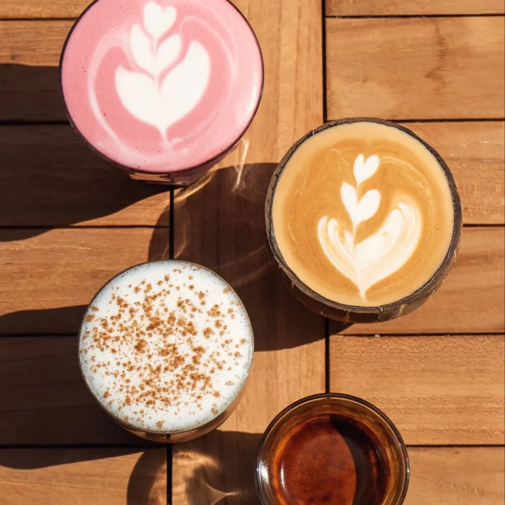 Blue Zone Espresso | Best Coffee Zandvoort