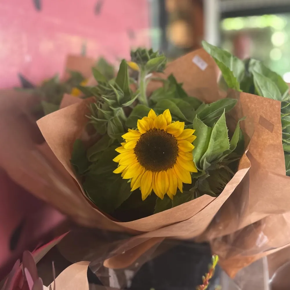 Bay Grocer