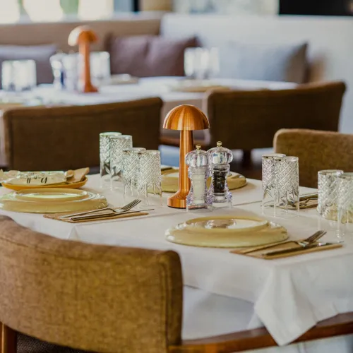 Papillon Bodrum