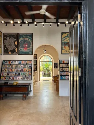 Stick No Bills®️ Asia Flagship Gallery