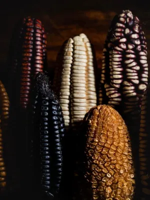 Chicha por Gaston Acurio