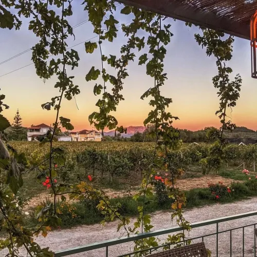 Κτήμα Γράμψα (Grampsas Winery & Restaurant)