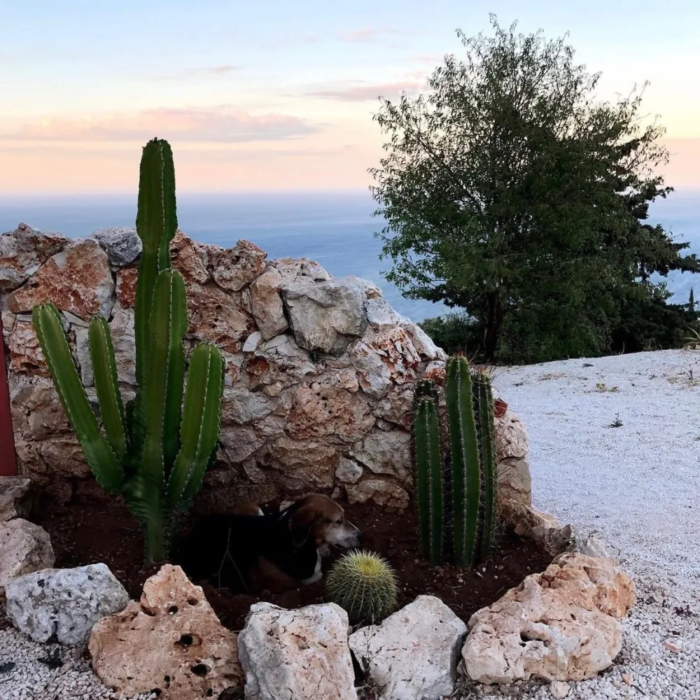 Zakynthos - gloobles