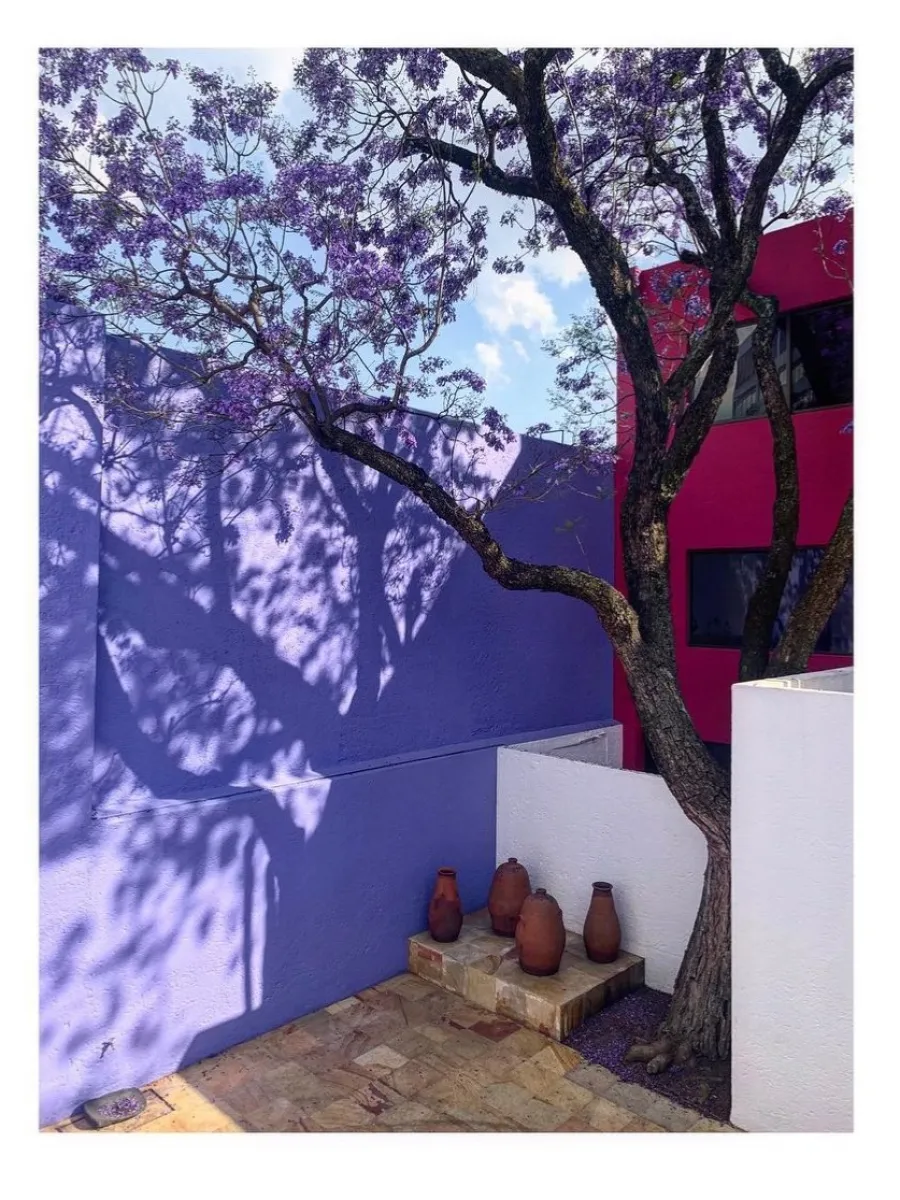 Casa Gilardi