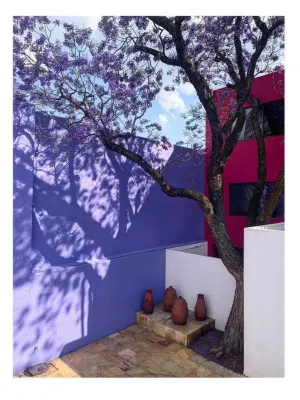 Casa Gilardi