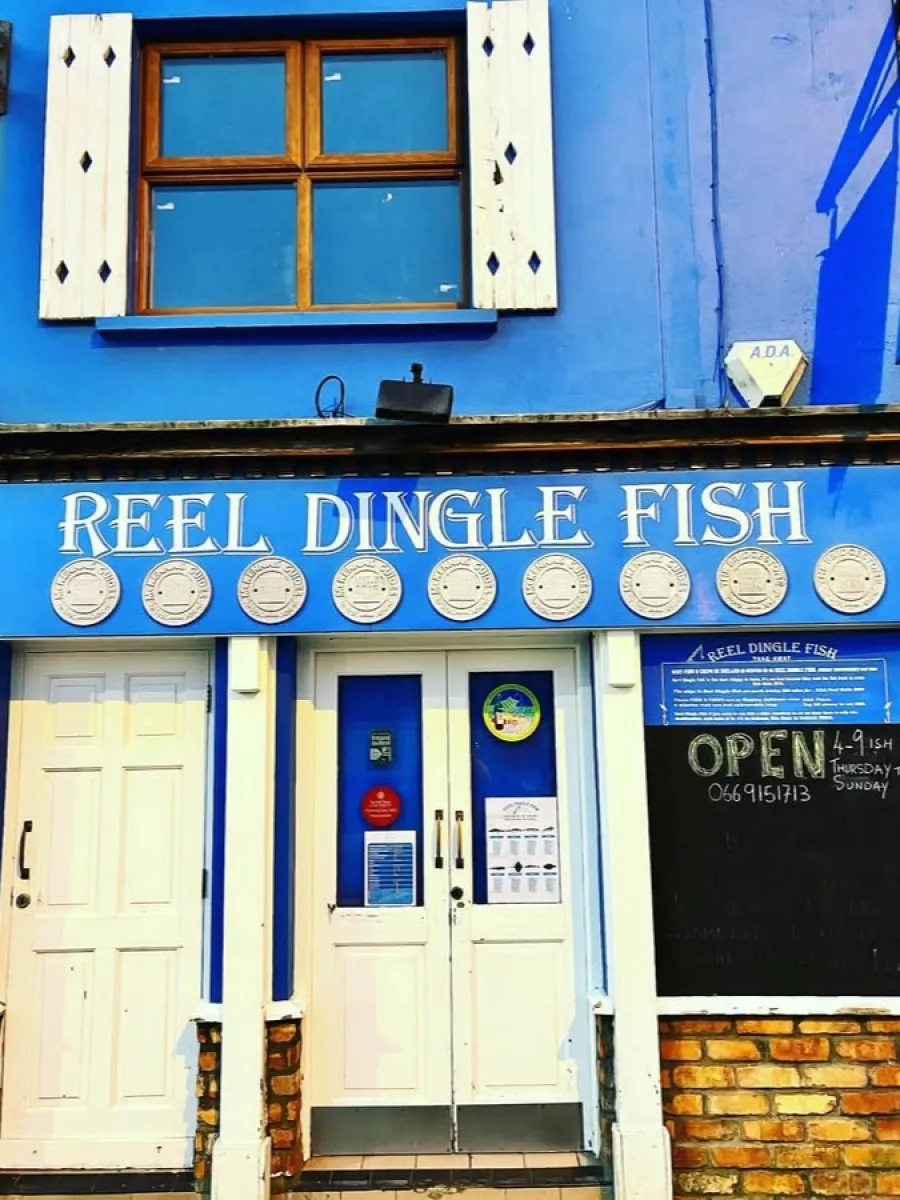 Reel Dingle Fish