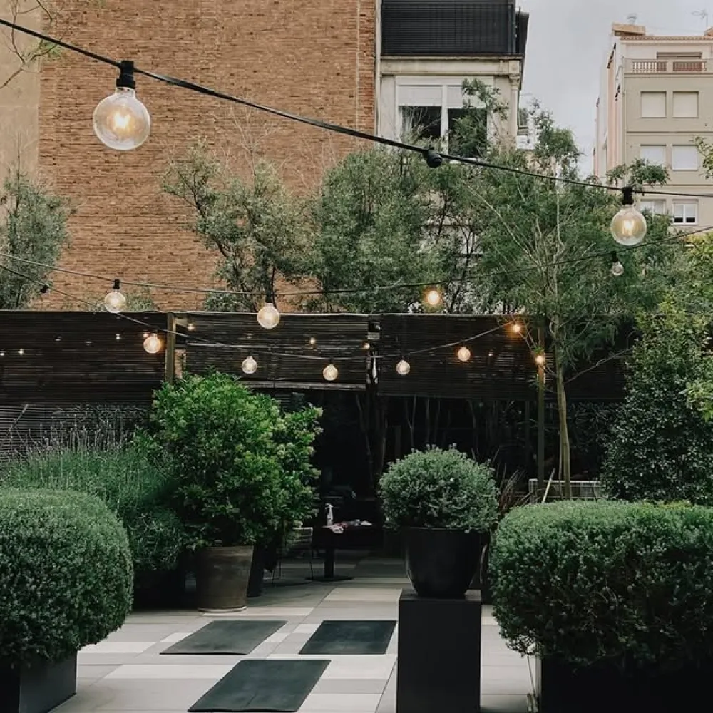 Frizzant | Barcelona