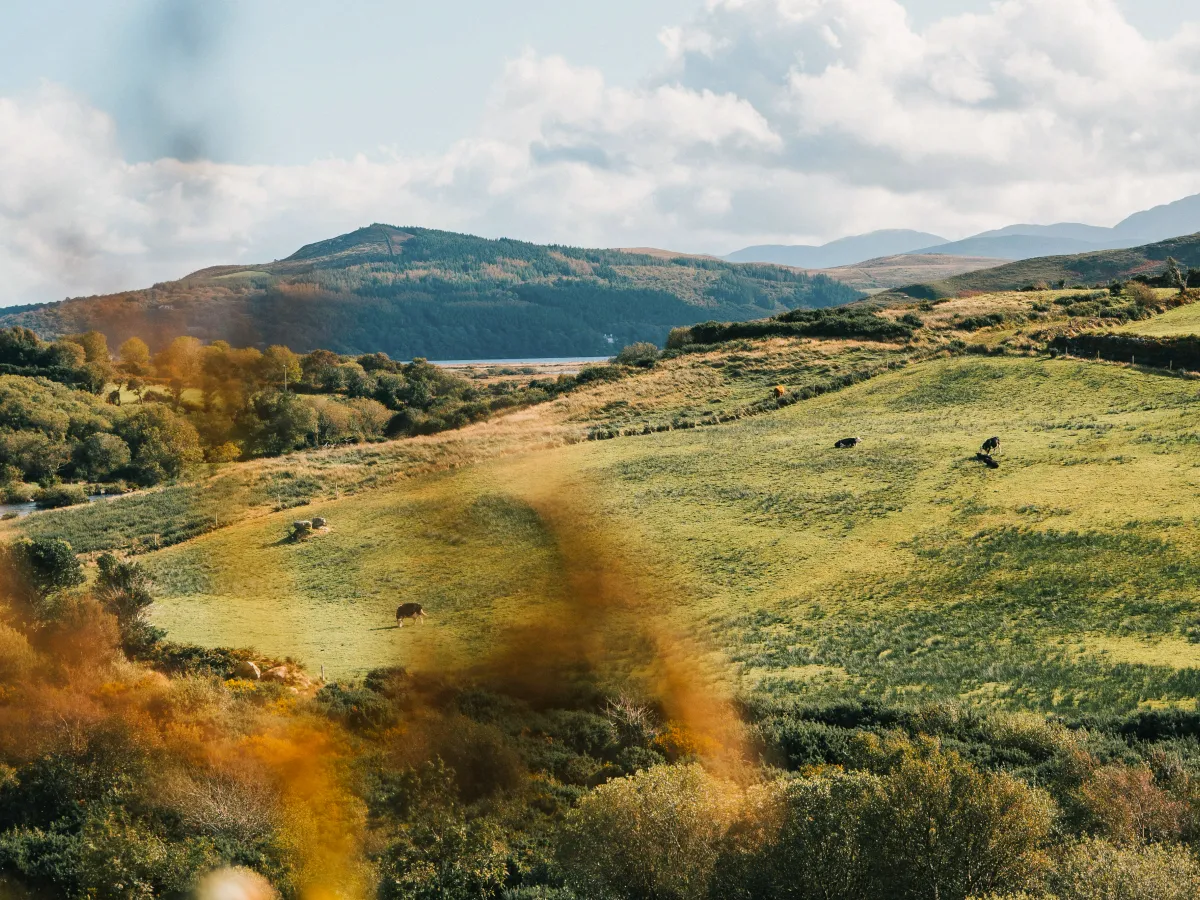 Kerry: the Cornwall of Ireland 