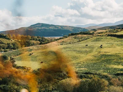 Kerry: The Cornwall of Ireland 