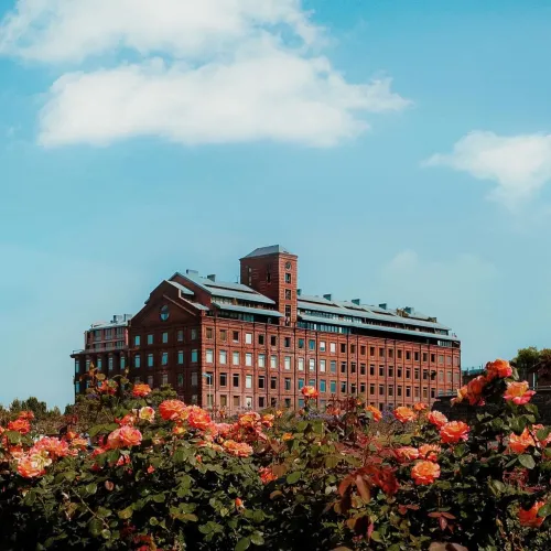 Faena Hotel Buenos Aires