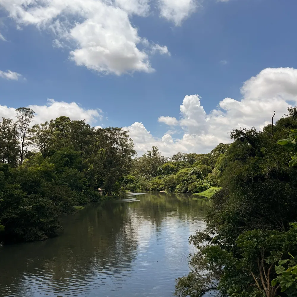 Ibirapuera Park