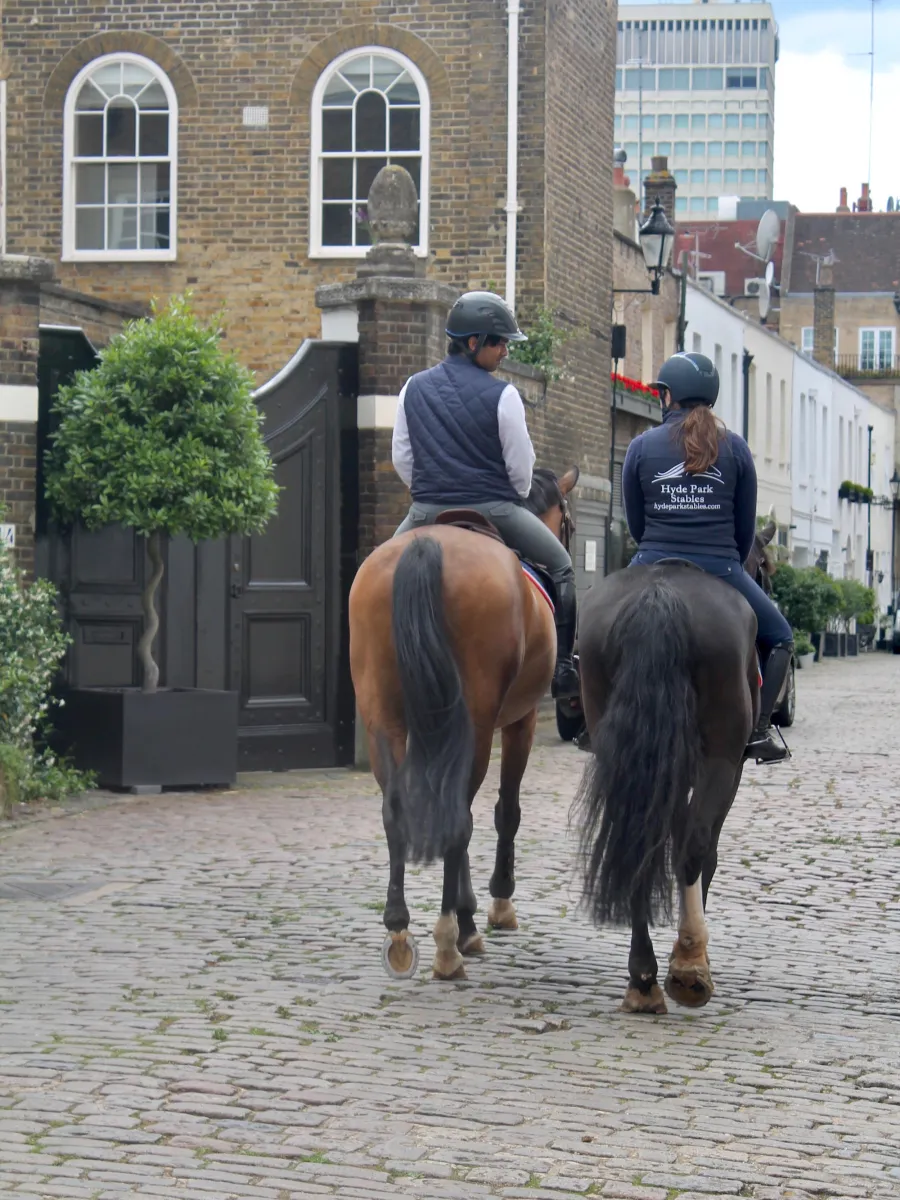 Hyde Park Stables - Horse Riding Central London