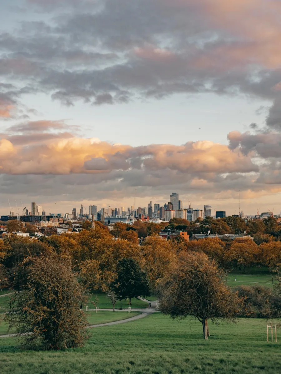 Primrose Hill