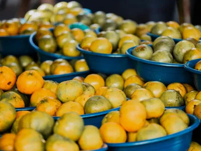 São Paolo’s Market Frenzy