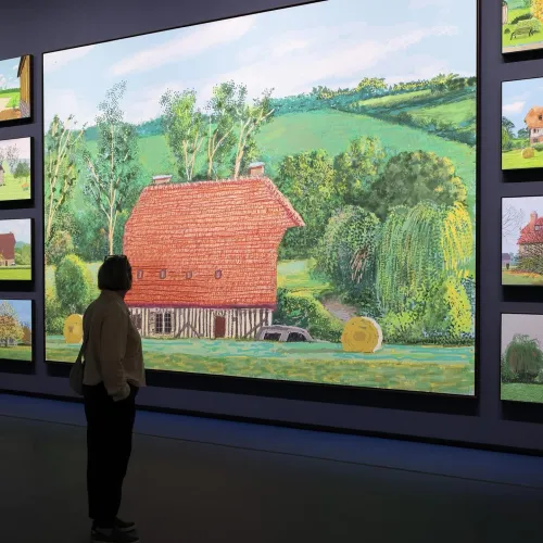 David Hockney 25