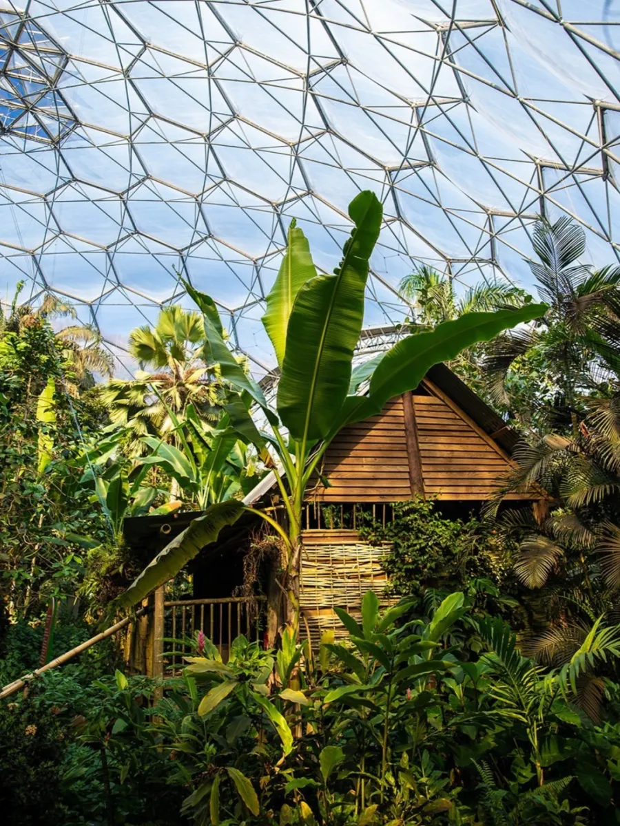 Eden Project