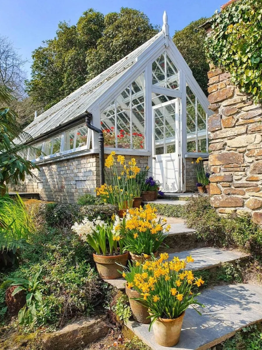 The Lost Gardens of Heligan