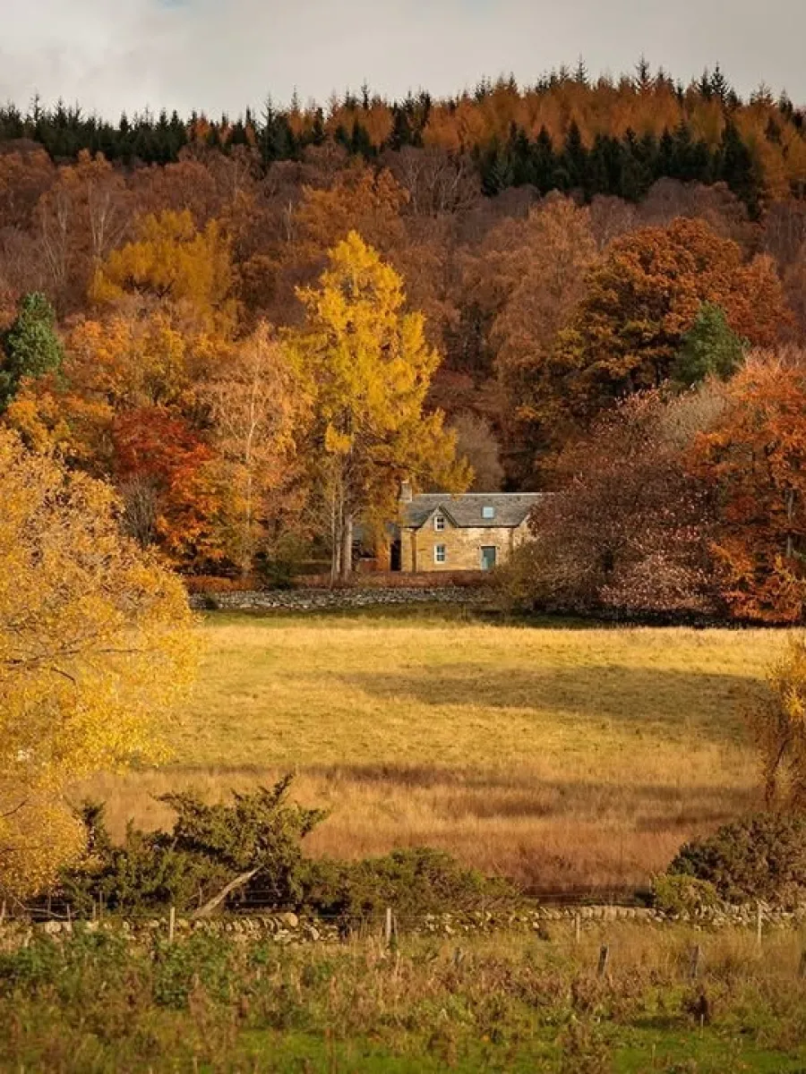 Atholl Estates