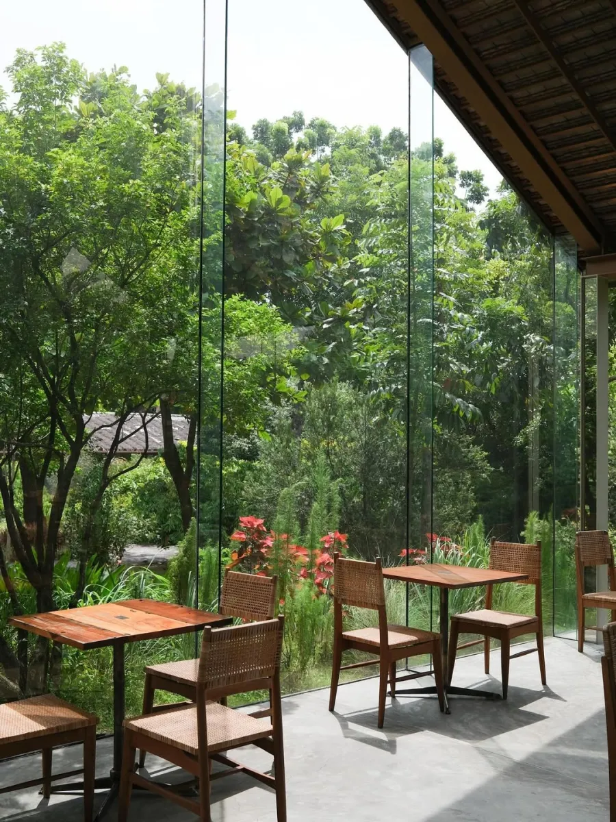 Patom Organic Living