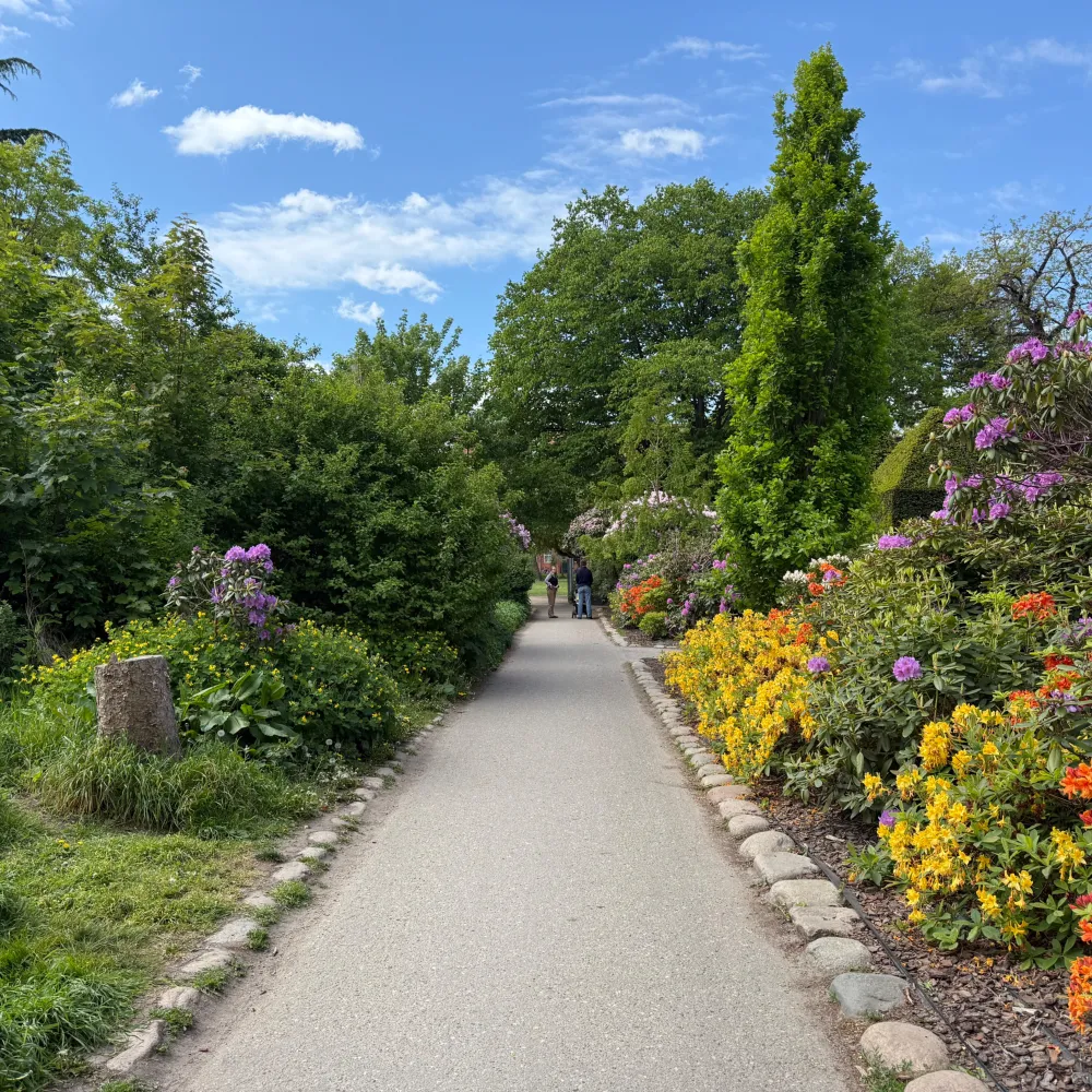Assistens Cemetery