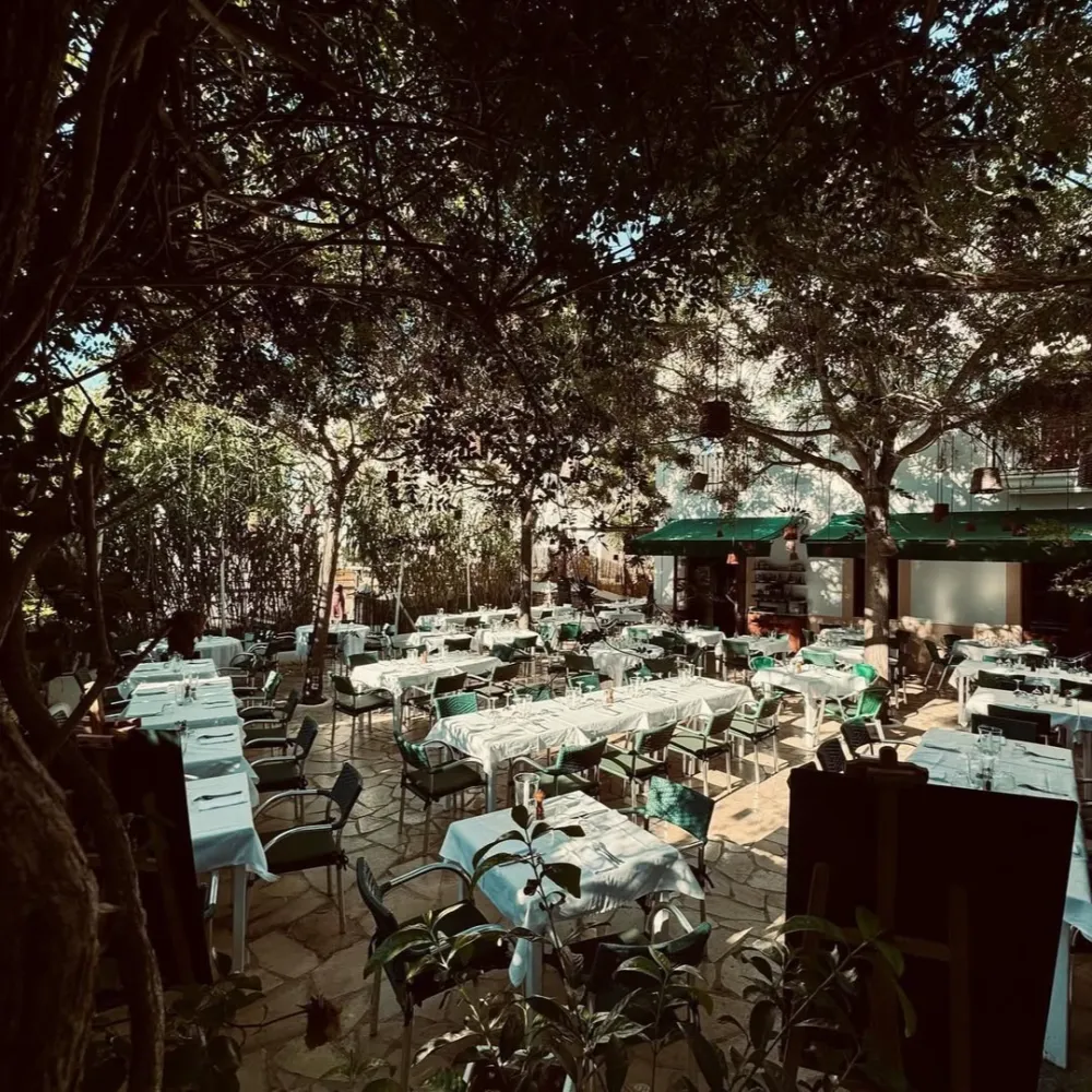 Macao Café 