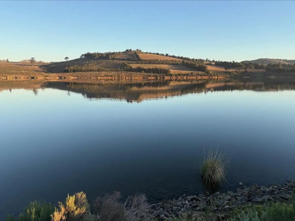 Vergelegen Wine Estate