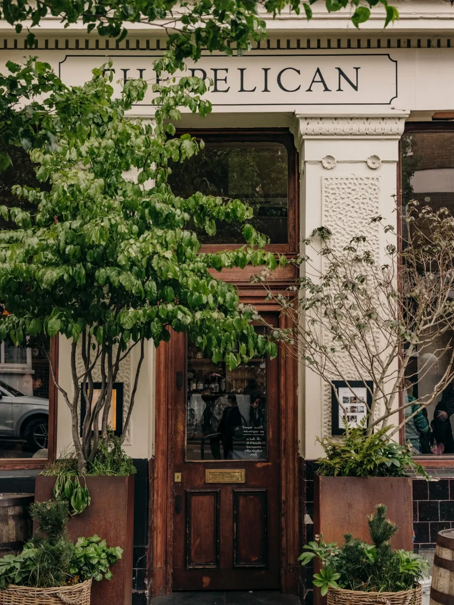 The Pelican
