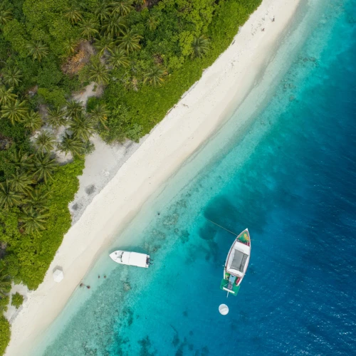 The Bahamas