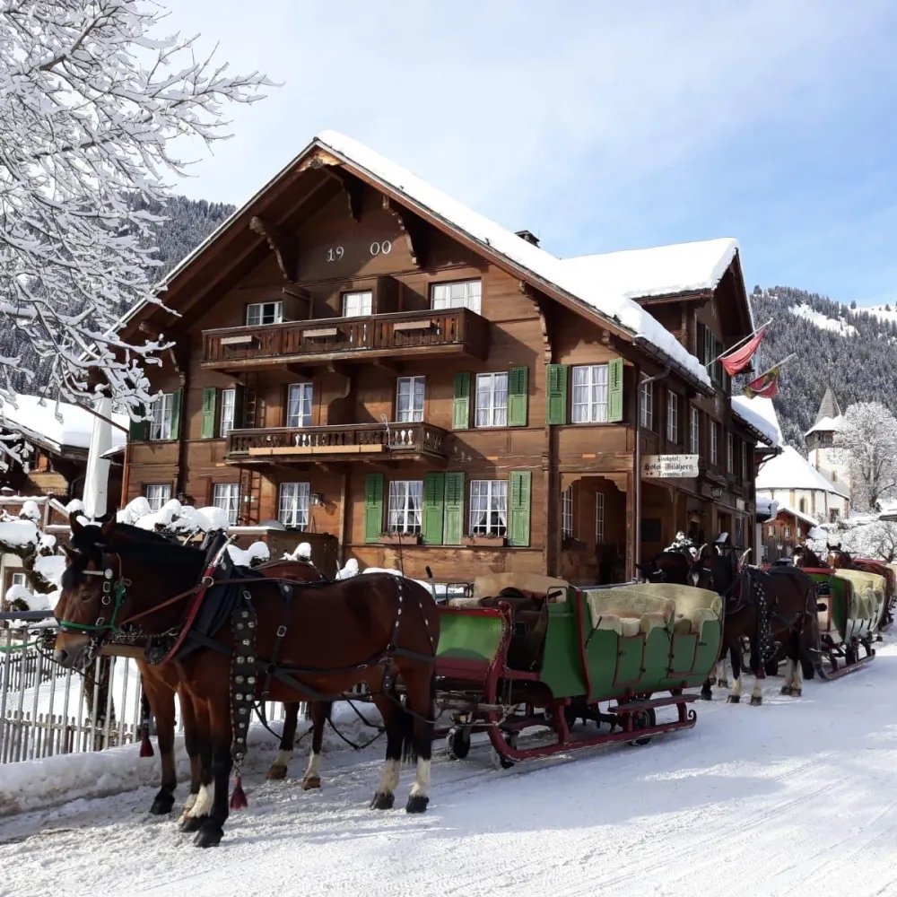 Wildhorn