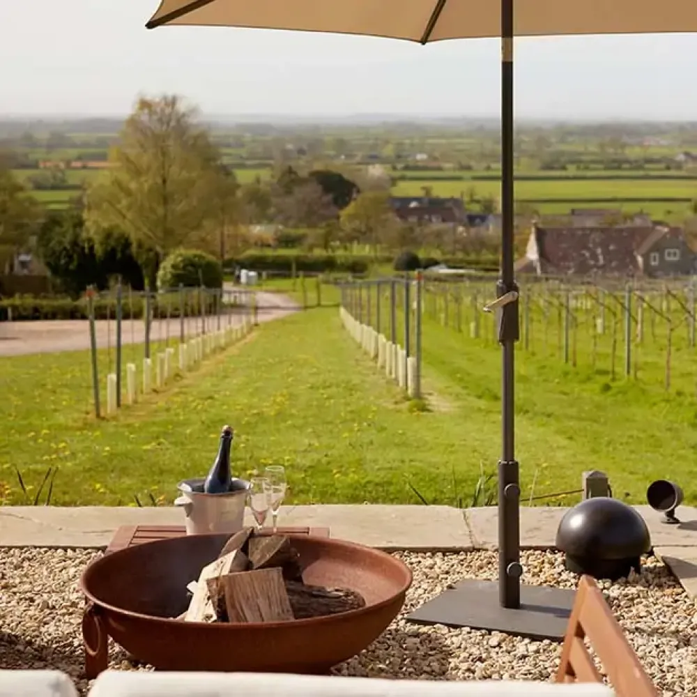 Wraxall Vineyard  