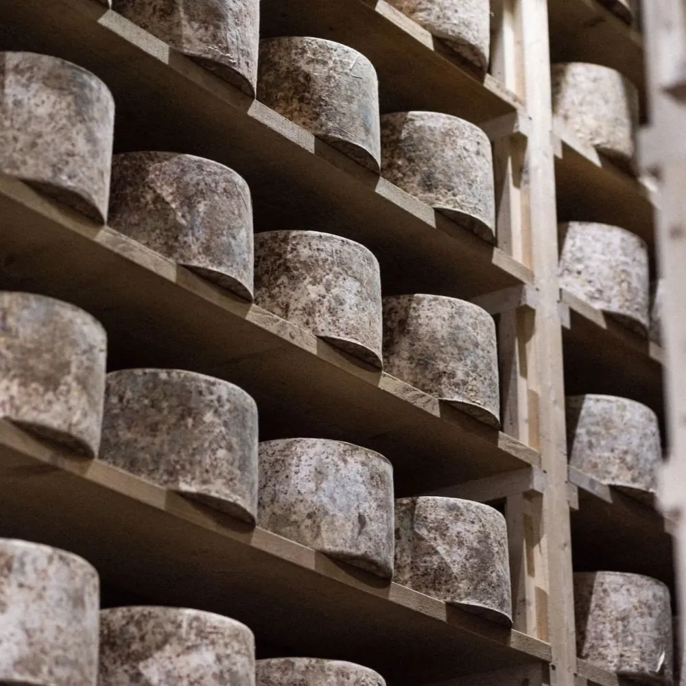 Westcombe Dairy