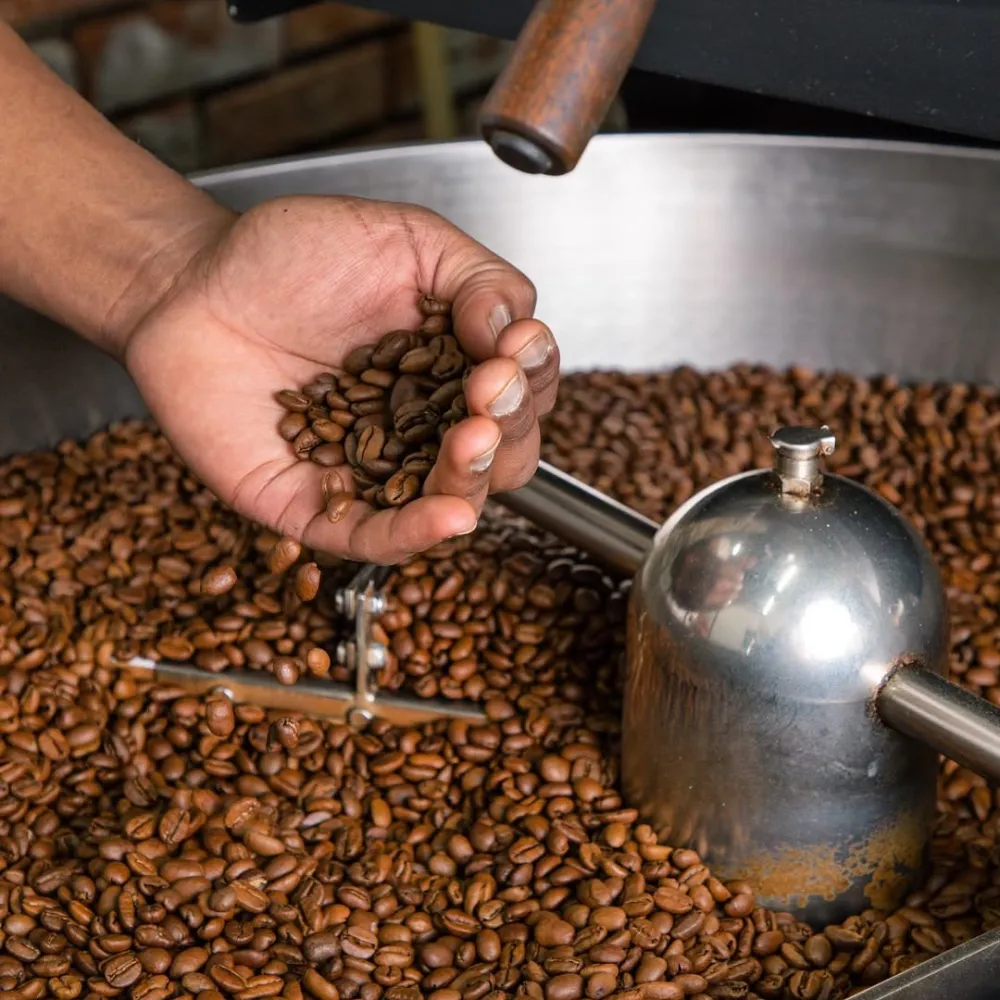 Ripsnorter Coffee Roasters