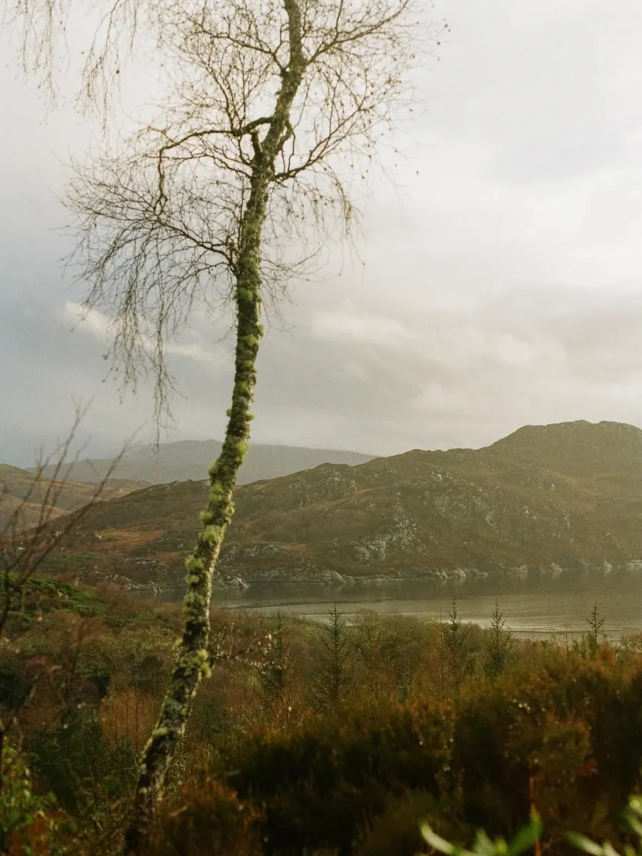 Loch Sunart
