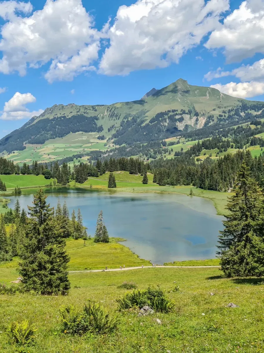 Wispile to Lauenensee Panorama Hike