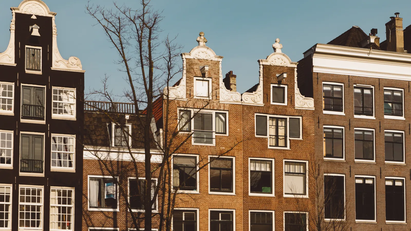 a week in Amsterdam with kids