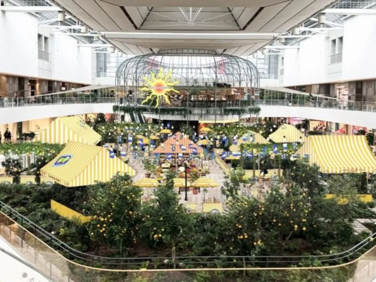 Sounds Forest - Hyundai Department Store