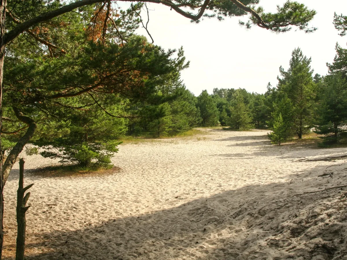 Stora Sand