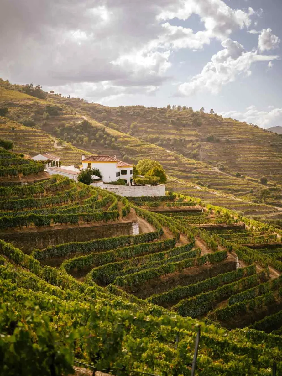 Quinta da Côrte