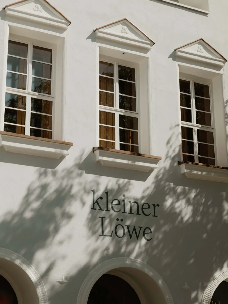 Kleiner Löwe