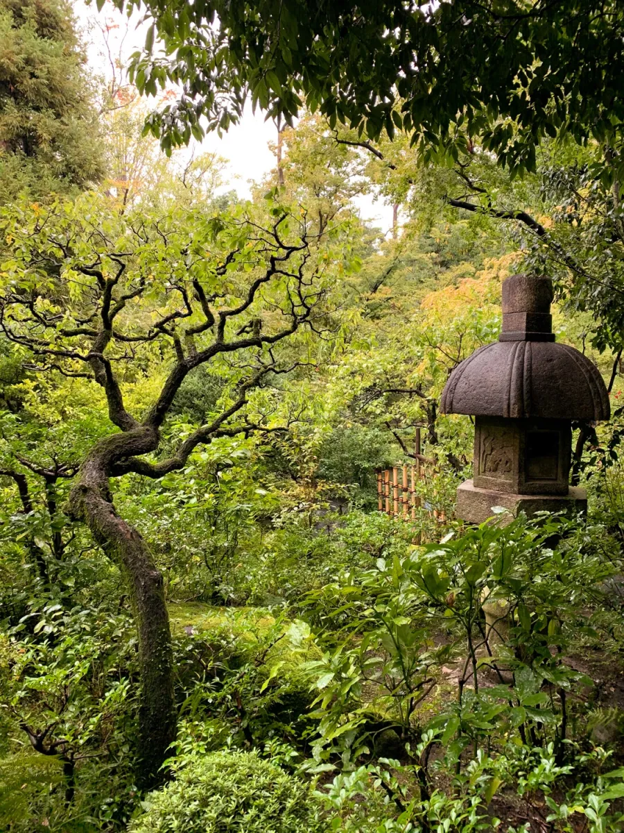 Nezu Museum - gloobles