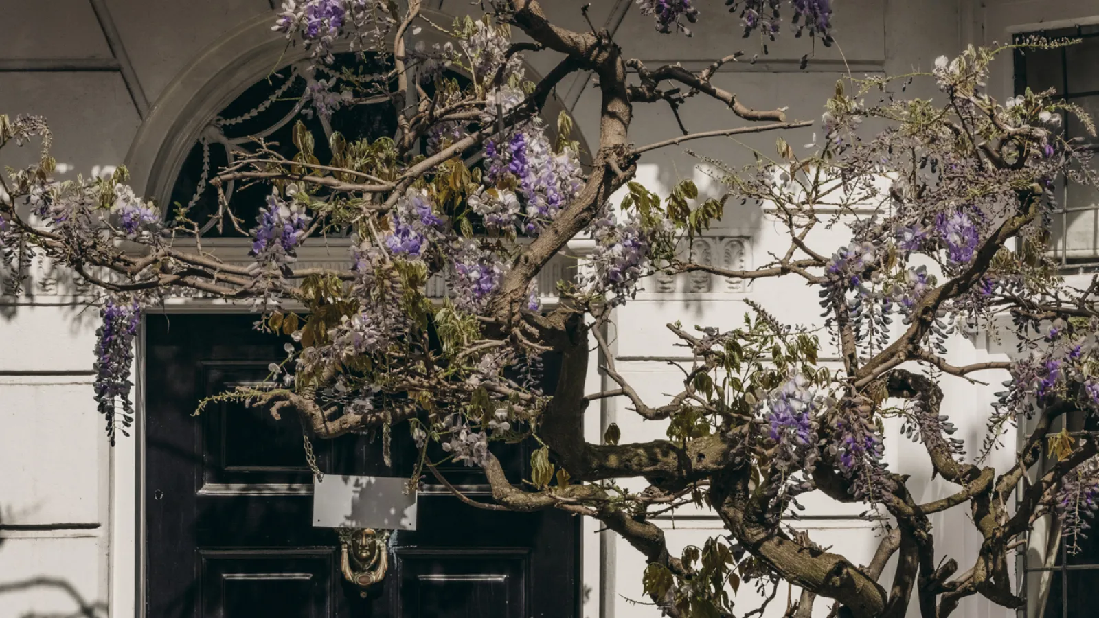 a day in Mayfair and St James's for Christie's summer season 