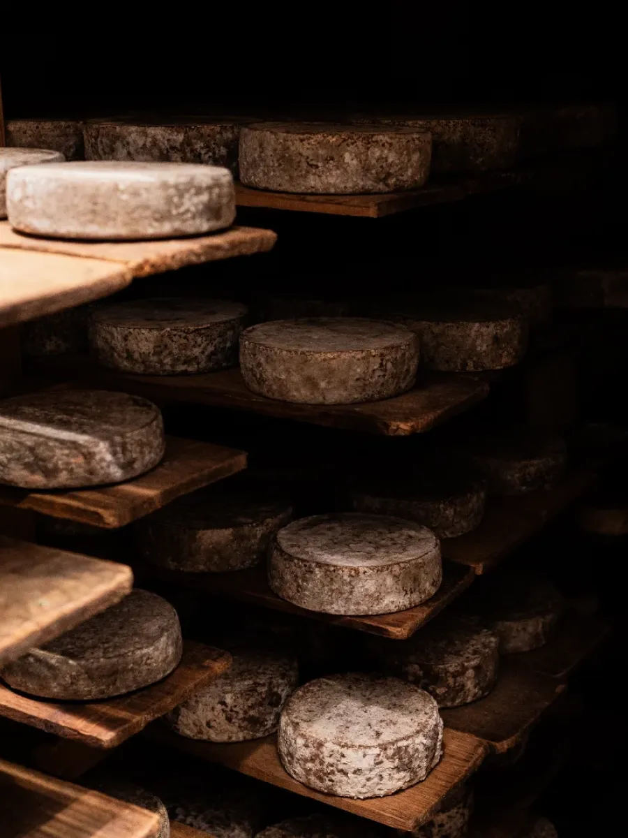 Fromagerie Pierre Gay
