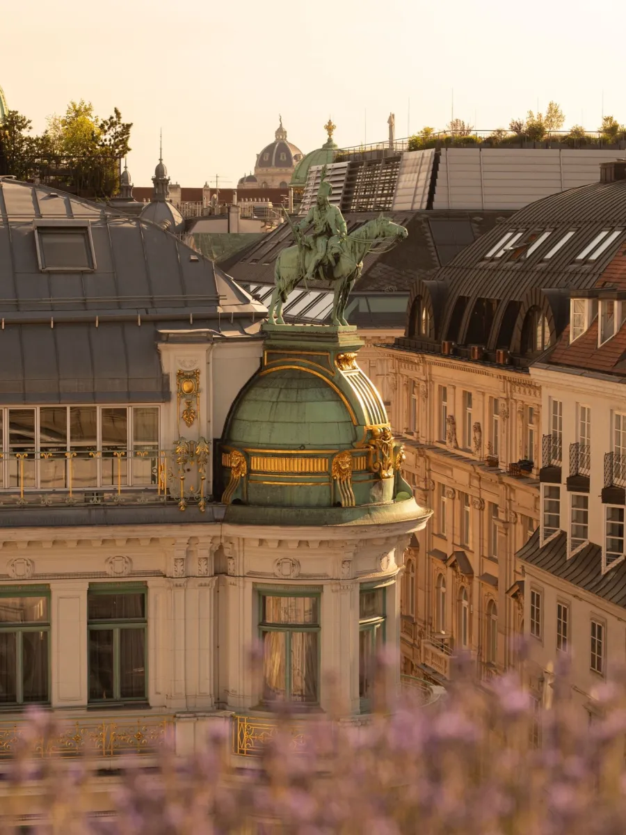 Rosewood Vienna