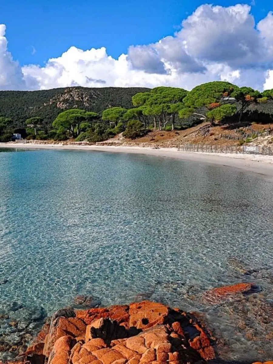Plage de Palombaggia