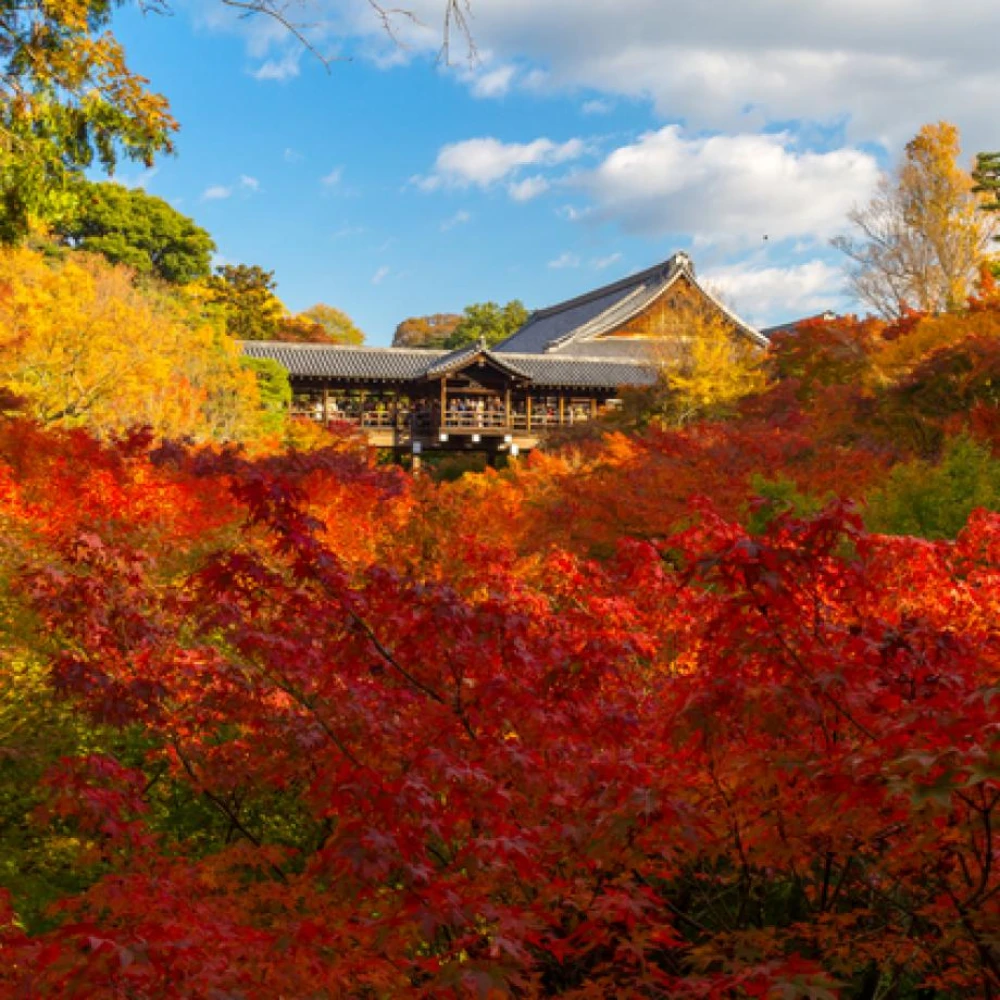 Tofuku-ji Temple