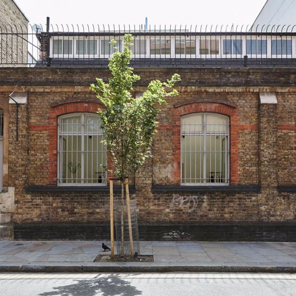 Hostem London