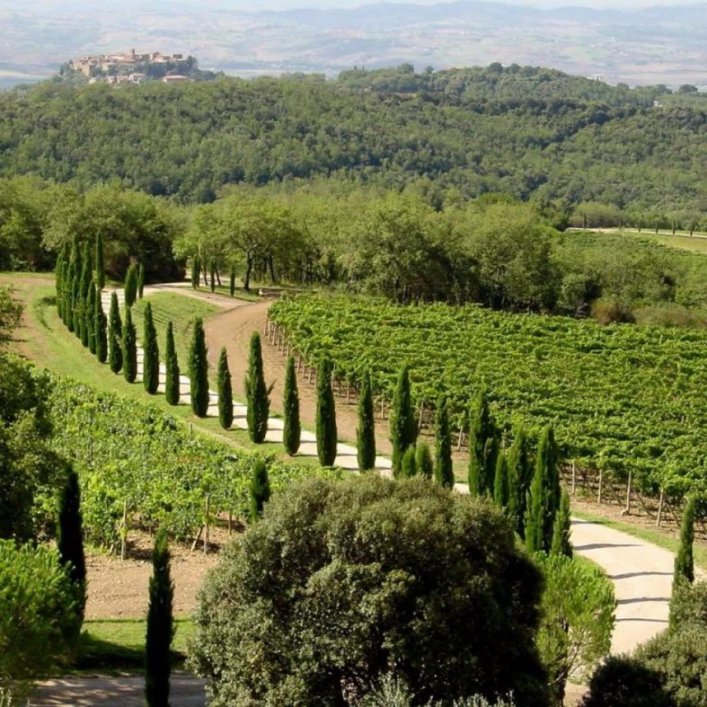 Poggio Antico
