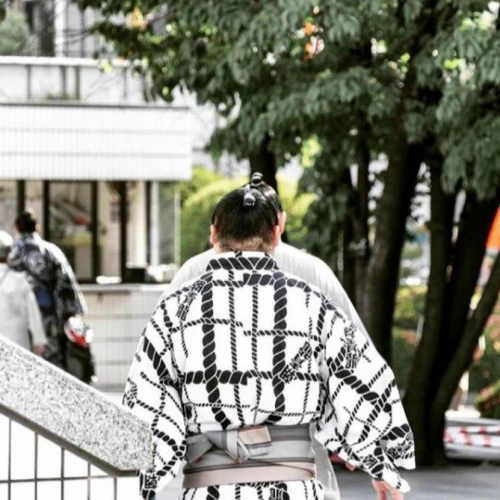 Sumo Tournament